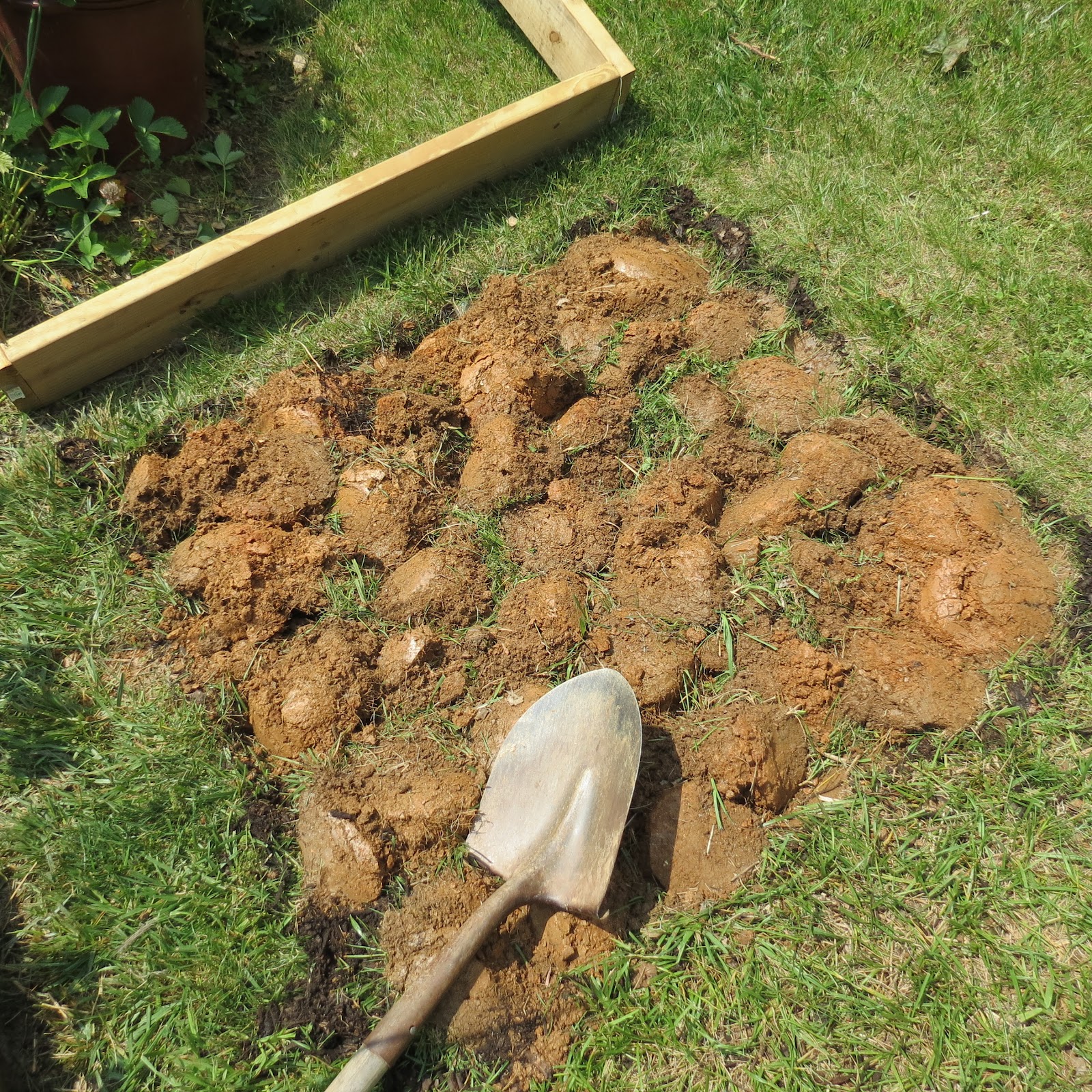 The Rusted Vegetable Garden