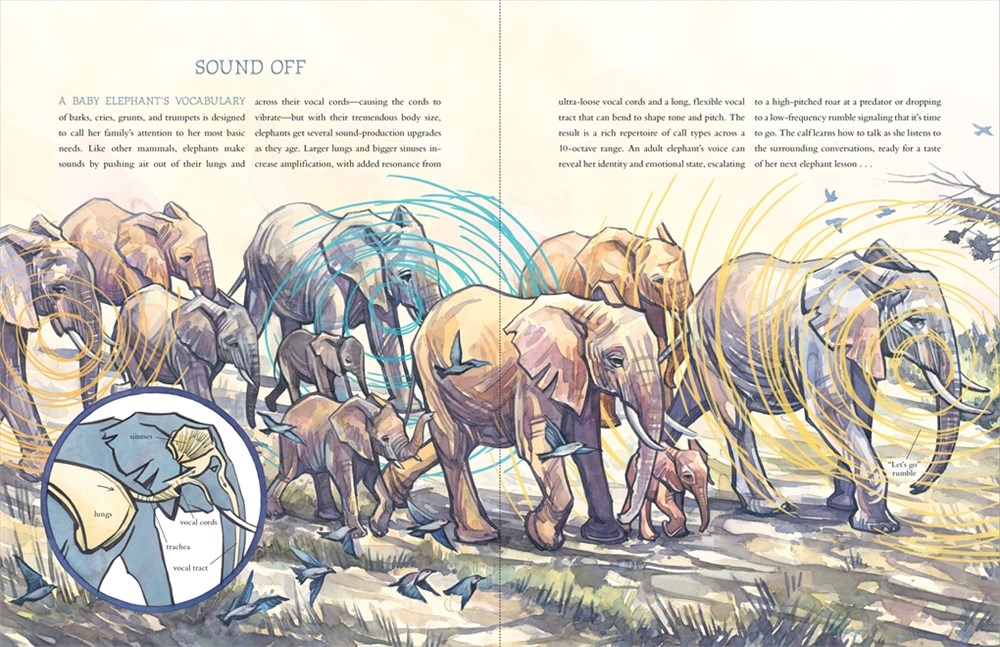 Let's Talk Picture Books HOW TO BE AN ELEPHANT