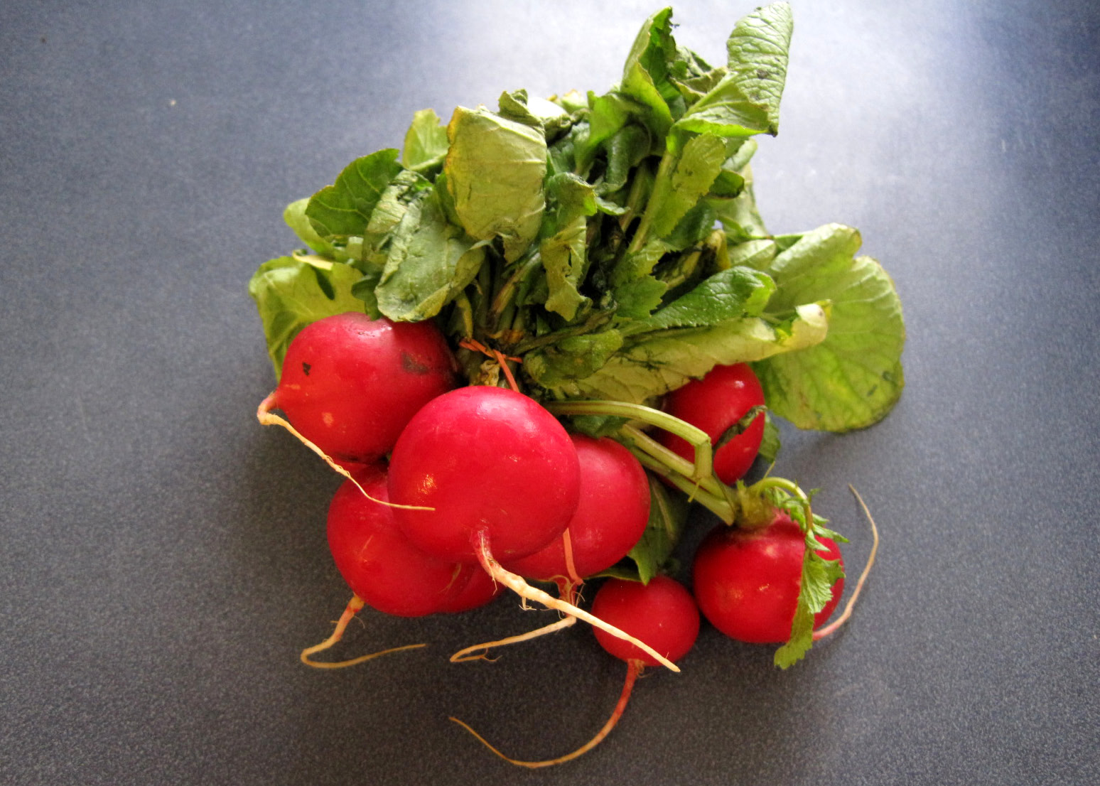 Escape from Obesity Low Carb Hearty Beef Stew... with Radishes!