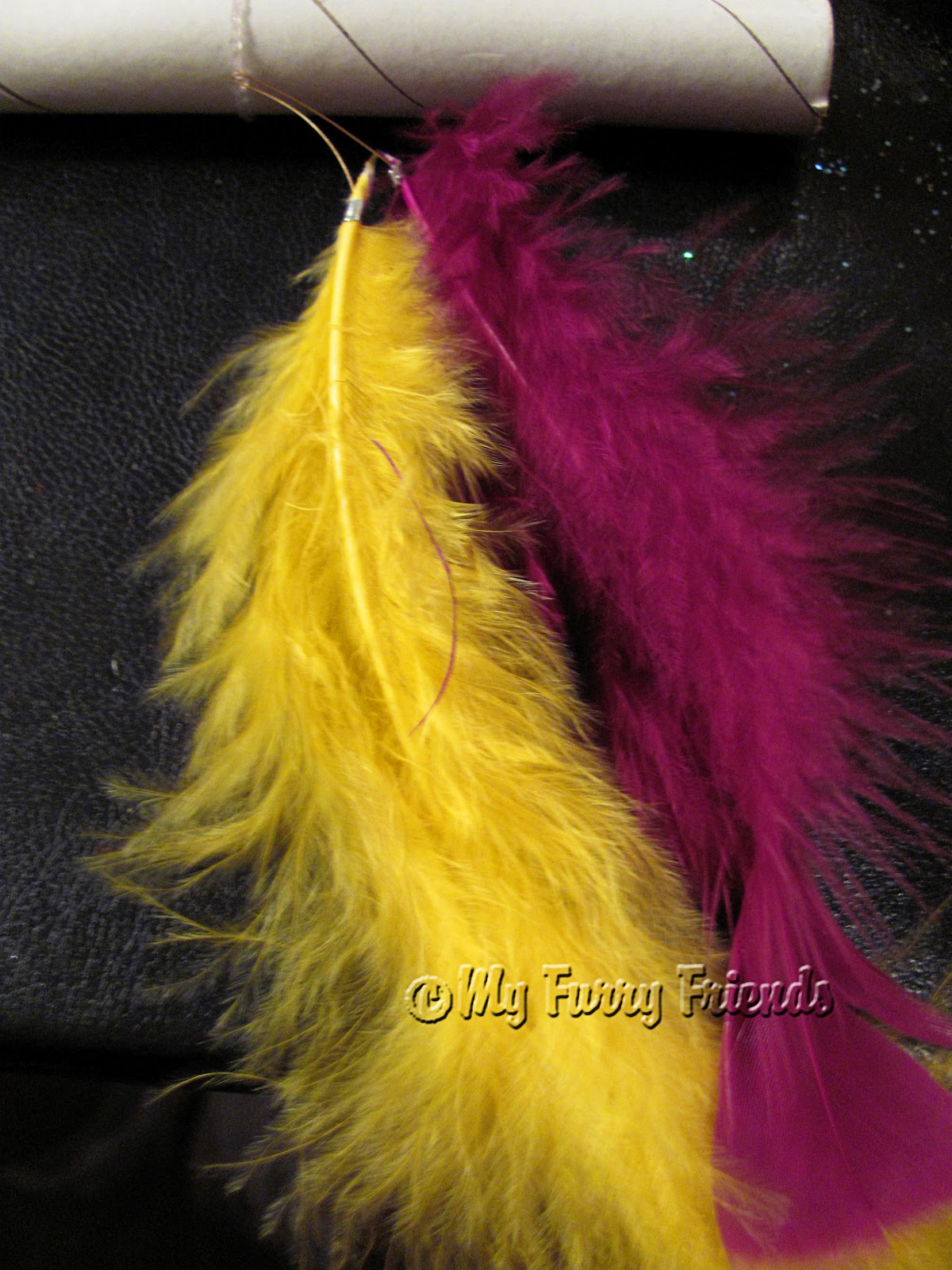 Pet Grooming The Good, The Bad, & The Furry Feathers, Feathers, Feathers