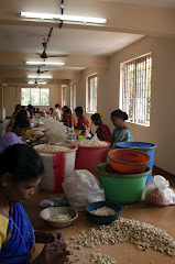 Arya Cashew Factory