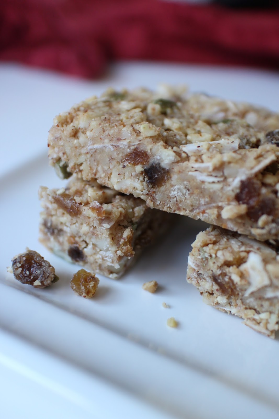 Paleo Nut Bars