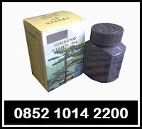 penngemuk+badan+kianpi+capsule.jpg
