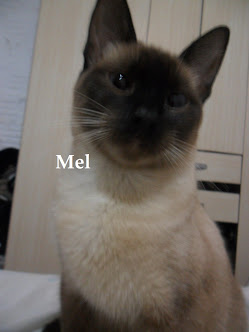 Mel