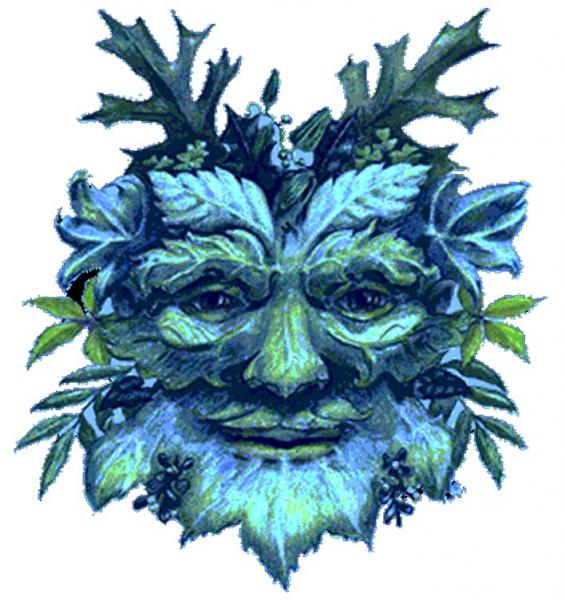 Beyond Survivor The Wounded Warrior Blog Why a Christmas Tree? Christmas