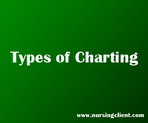 Pie Charting Nursing