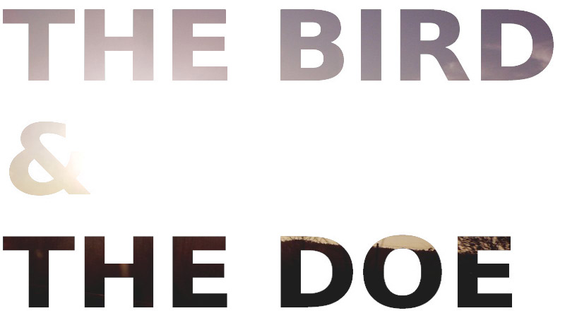 The Bird & The Doe