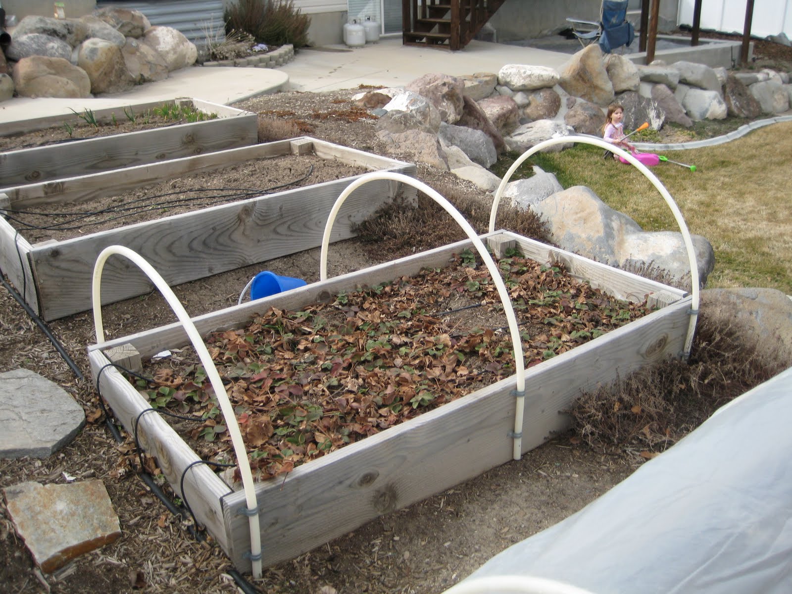 Download Raised Bed Garden Hoops Pictures
