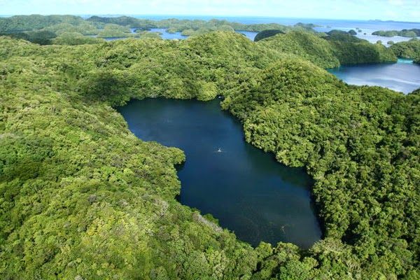 You can find the marine lake on Eil Malk island in Palau. - A Girl Decided To Snorkel In This Remote Lake… And What She Found Will Take Your Breath Away. WOW. You can find the marine lake on Eil Malk island in Palau. - A Girl Decided To Snorkel In This Remote Lake… And What She Found Will Take Your Breath Away. WOW.