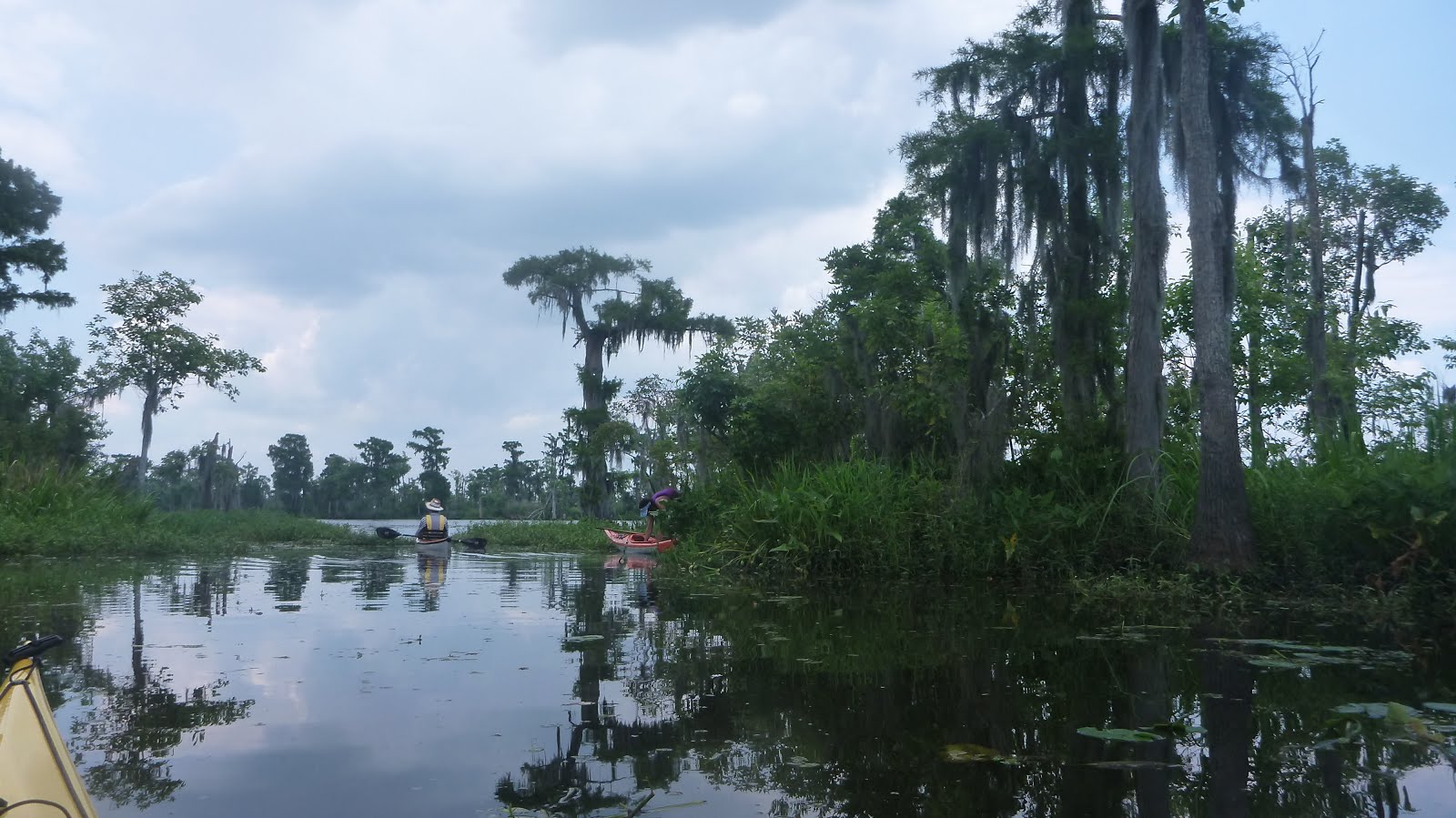 Southeastern Louisiana Paddling Kayaking Natalbany River to North Pass