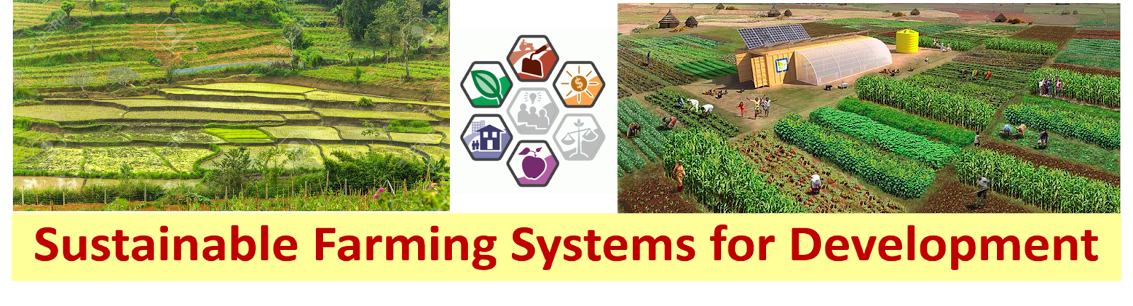 Sustainable Farming Systems for Development