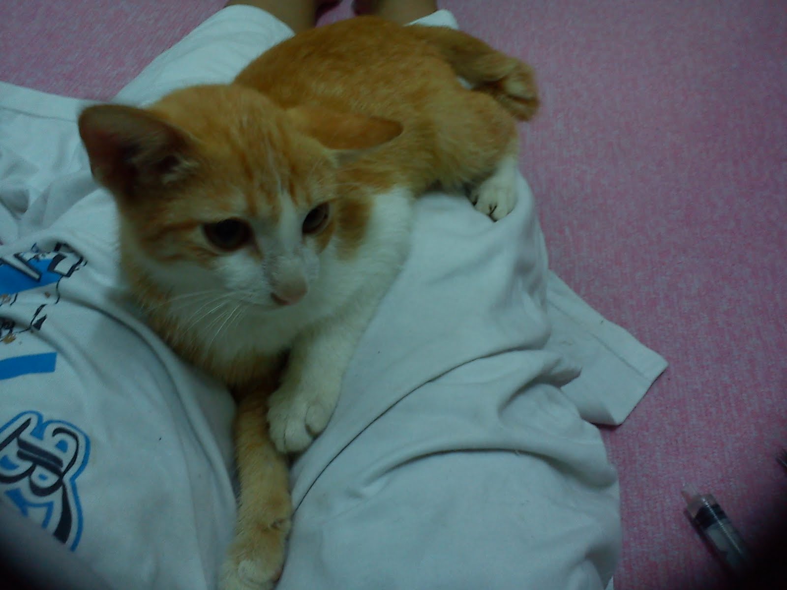 The Way Of My Life This Is A Story About Si Kechik