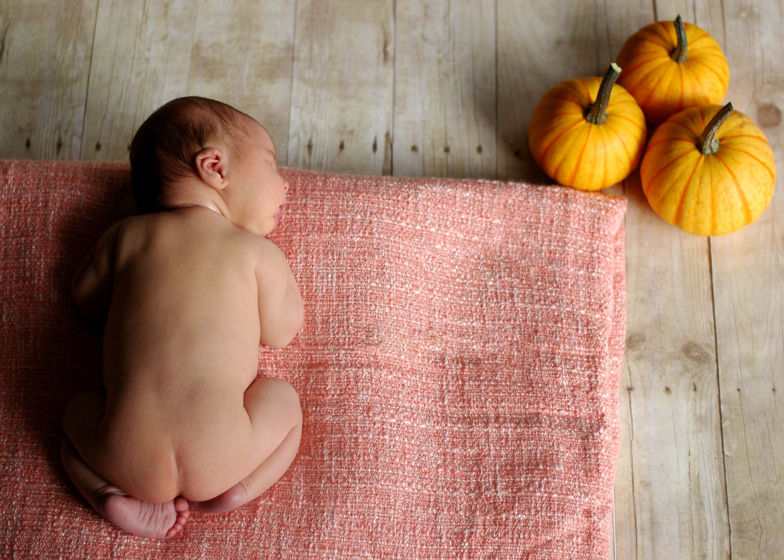 Autumn Mini Baby Photo Sessions
