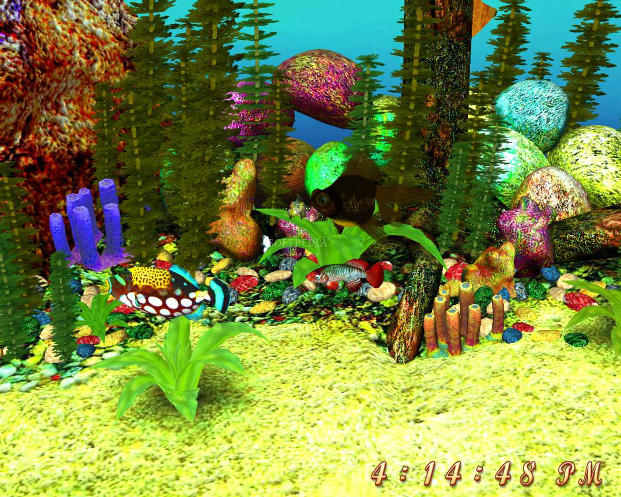 29 Aquarium Screensavers for Windows Mac