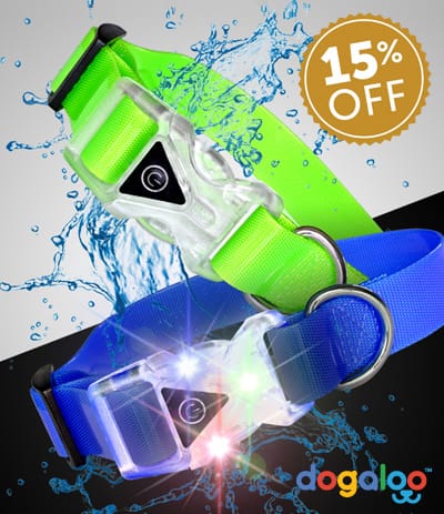 LIGHT UP WATERPROOF COLLARS