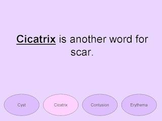 Dermal Cicatrix Definition