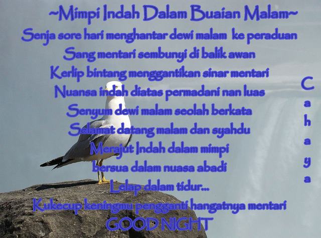 Ungkapan Hati Cahaya | ~ Catatan Harian Cahaya