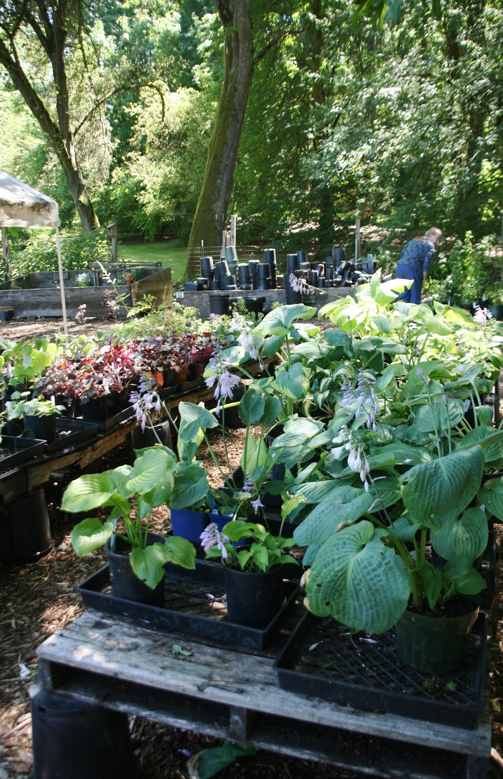 Finding the extraordinary in the ordinary A happy