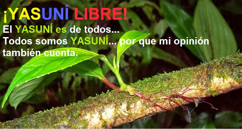 ¡YASUNÍ LIBRE!