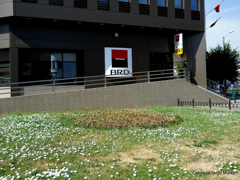 Sucursale BRD Groupe Societe Generale, Tirgu Mures. 