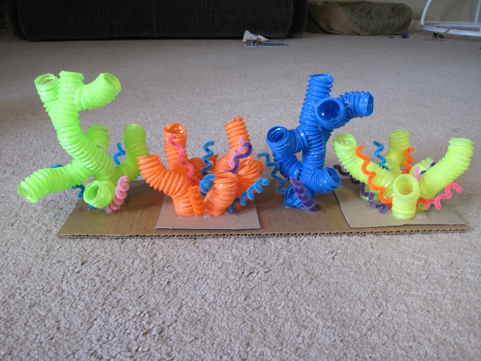 All Things VBS! The Great Barrier Reef