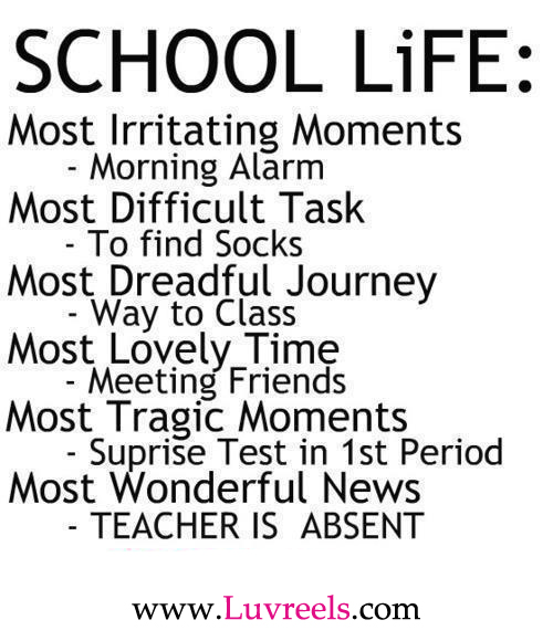 Cool Sayings About Love And Life Funny life quotes about life Cool Sayings About Love And Life Funny life quotes about life