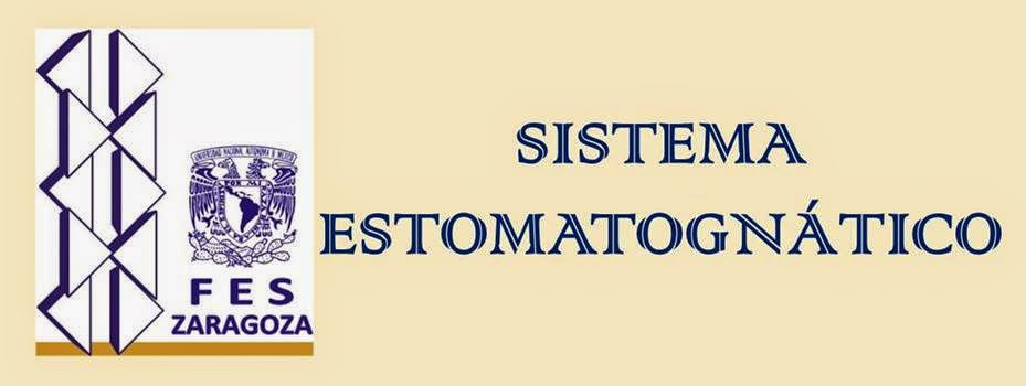 Sistema Estomatognático