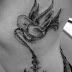 Beautifull Anchor Tattoos Designs Photos