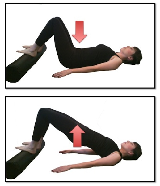 The Pilates Studio's Blog All Things Bridge in Pilates