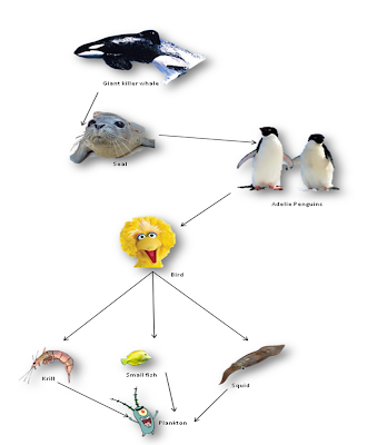 Adelie Penguins AU: Apply - Food Chain
