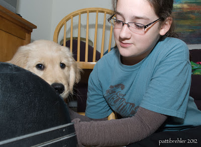 My niece Sofia is sitting on the floor with the puppy, who is partially hidden behind a horn case.