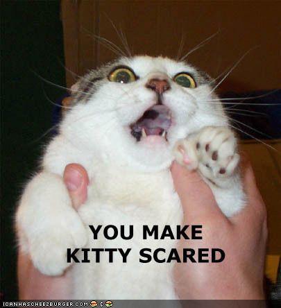 Is Anyone Else Scared?