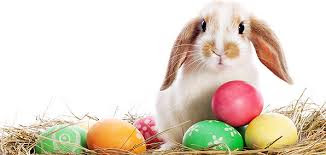 The History of The Easter Bunny