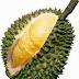 Manfaat dan Kandungan Nutrisi Buah Durian