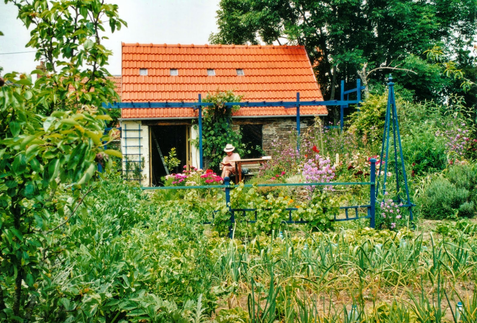and Transmogrification Open field to food forest garden and Transmogrification Open field to food forest garden