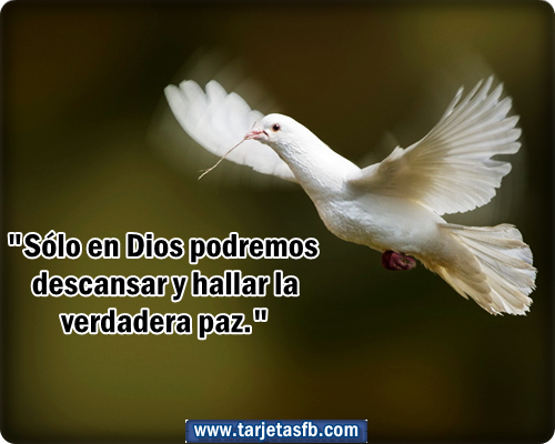 mensajes de paz para etiquetar en tu muro para enamorados con mensajes mensajes de paz para etiquetar en tu muro para enamorados con mensajes