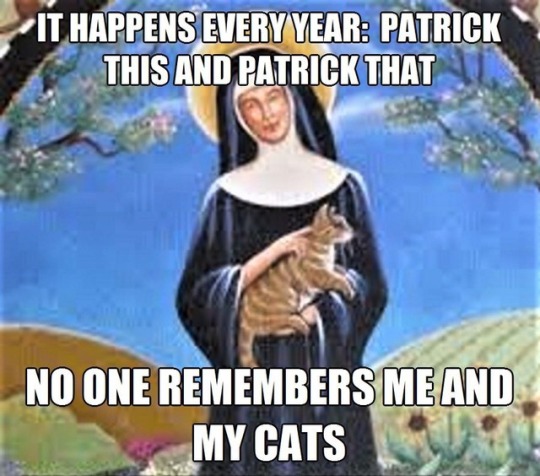 Seduced By The New A Prayer To St Gertrude The Patron Saint Of Cats