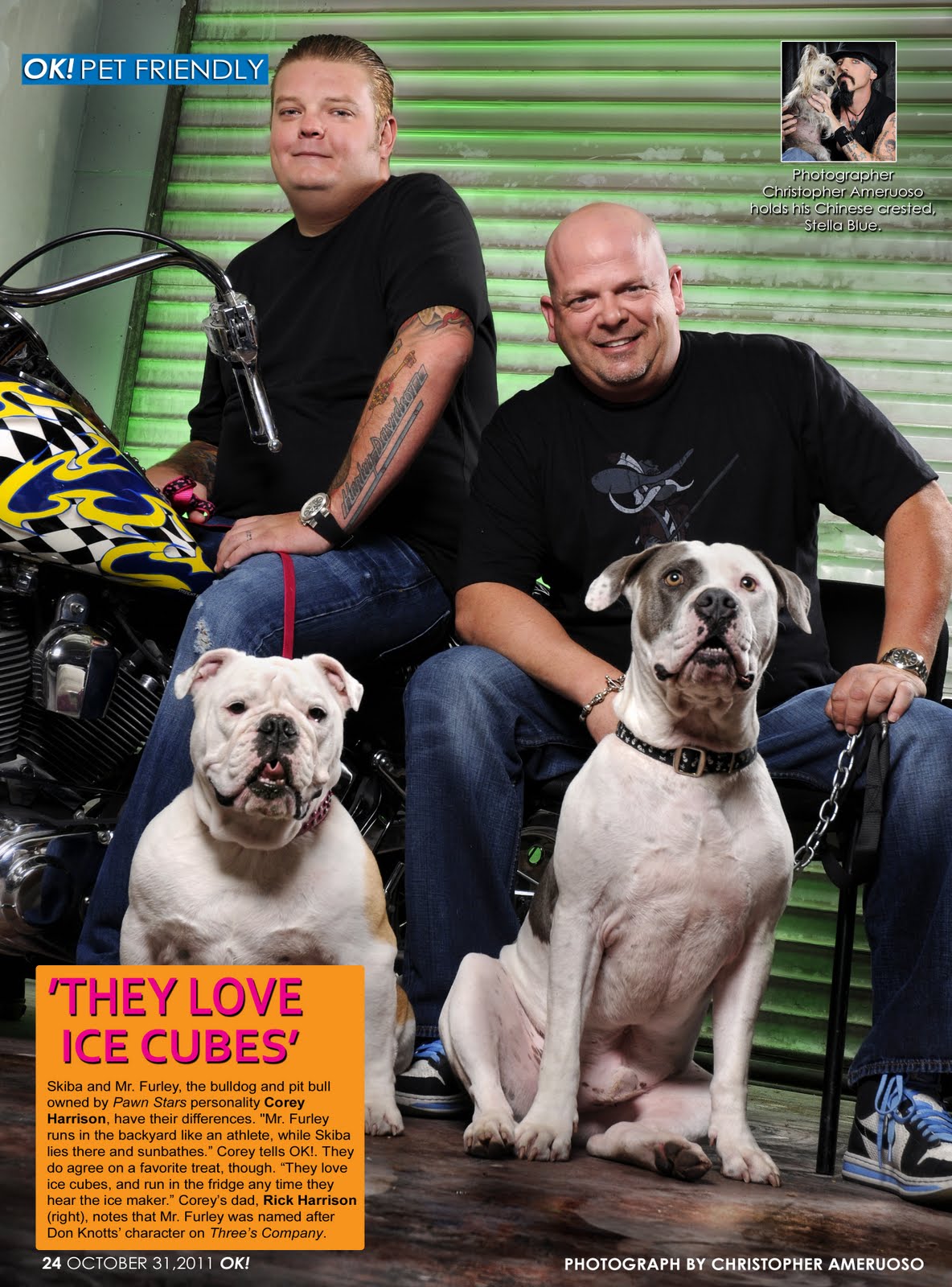 Corey Harrison Pawn Stars