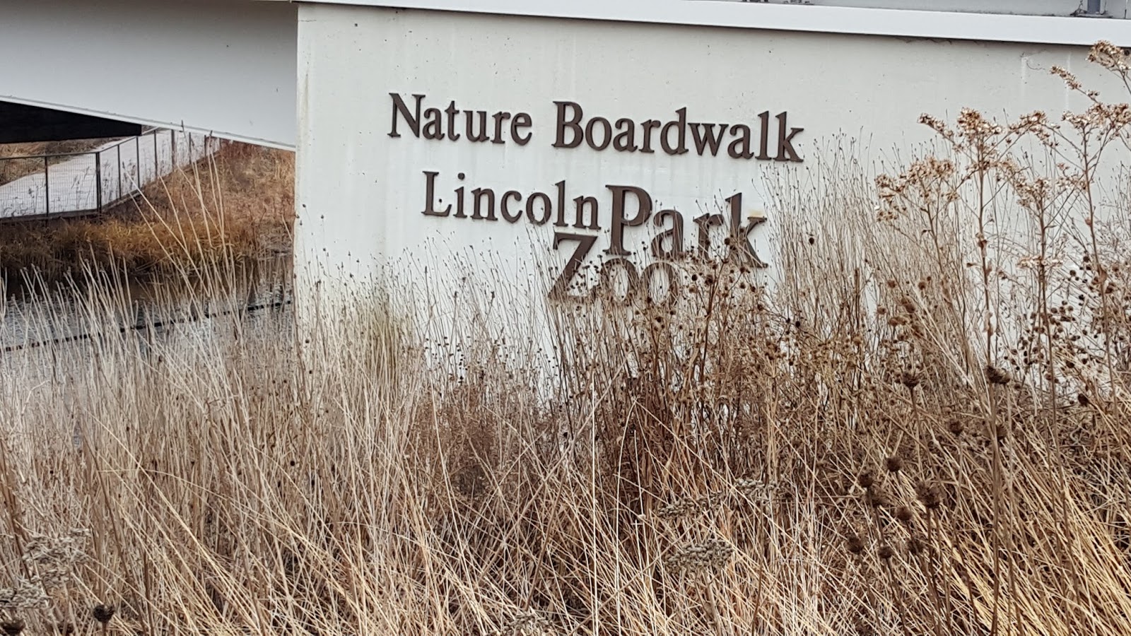 The Chicago Real Estate Local East Lincoln Park condo sales 2015