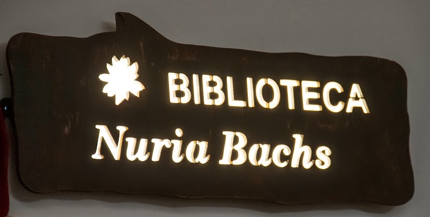 Biblioteca Nuria Bachs: IES Los Neveros