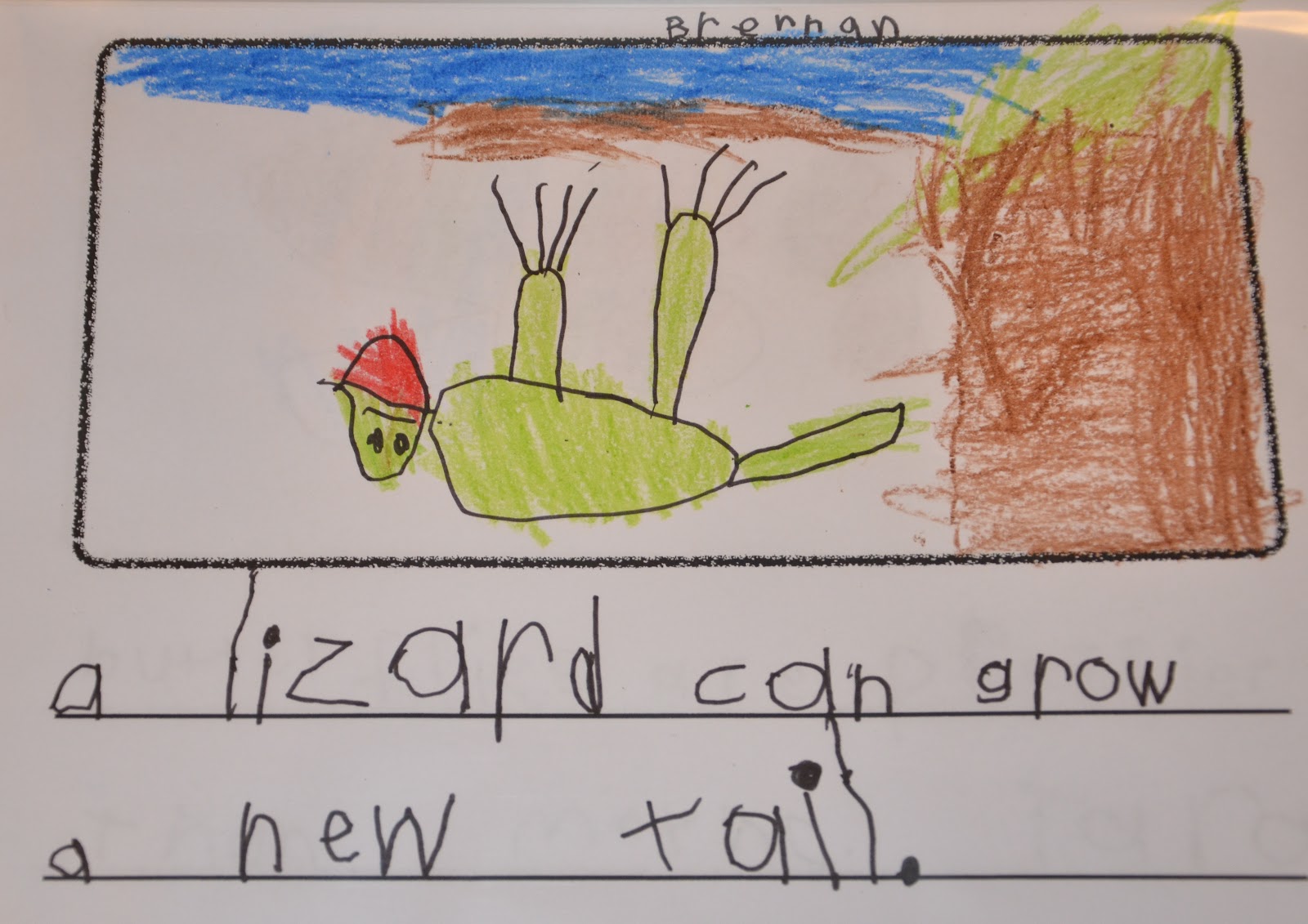 A Place Called Kindergarten: Did You Know?