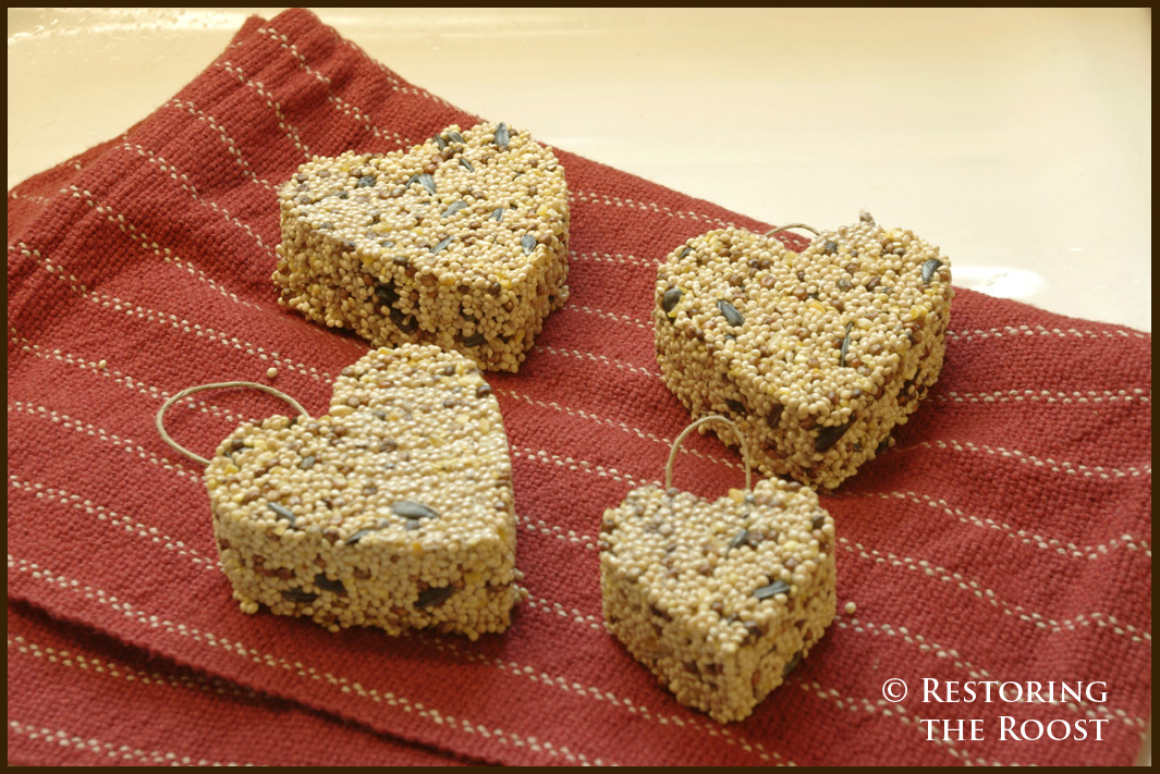 Restoring the Roost Valentine Bird Seed Hearts