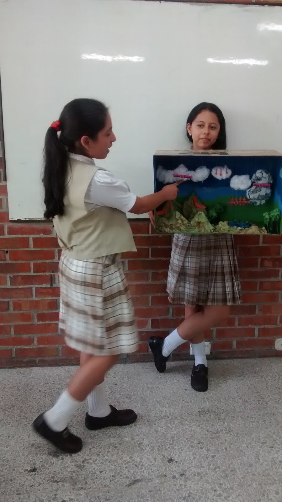 Exposiciones 6to