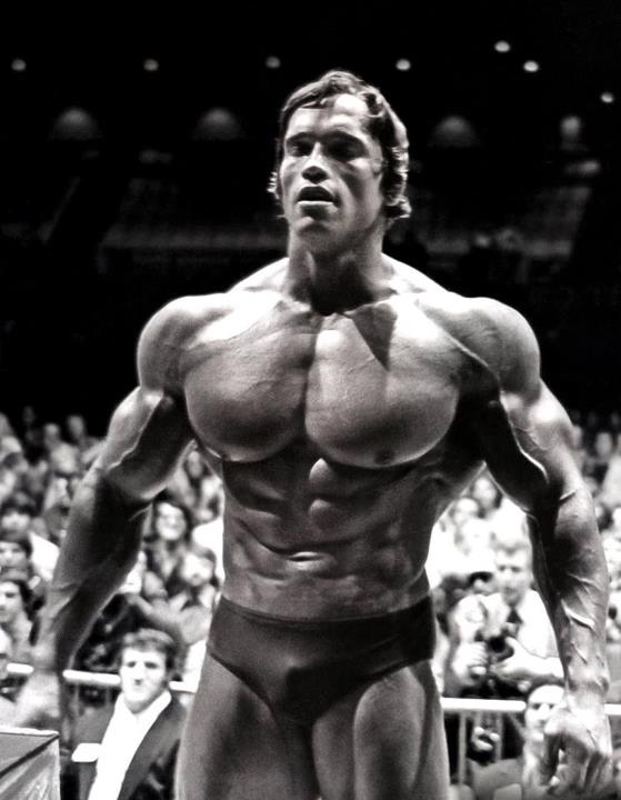 Most Muscular Men Arnold Schwarzenegger Complete Profile Arnold Schwarzenegger Complete Biography Arnold Schwarzenegger Home Town Arnold Schwarzenegger Date Of Birth Arnold Schwarzenegger Mother Died Arnold Schwarzenegger Father