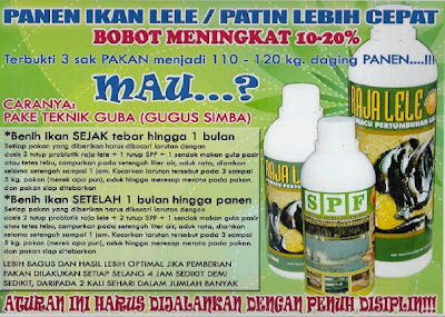 probiotik ikan simba plus rajalele rajagurame pidas bendos spf masterfish nature nutrisi probiotik ikan simba plus rajalele rajagurame pidas bendos spf masterfish nature nutrisi