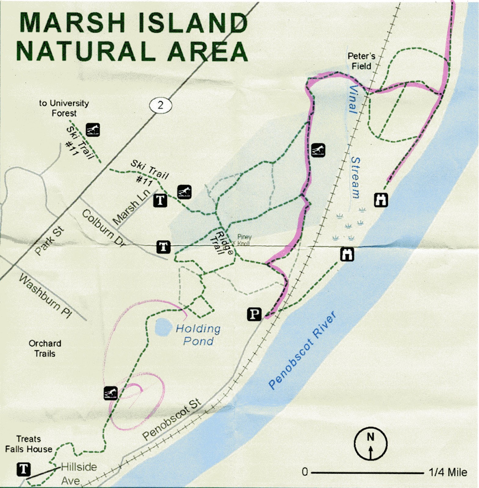 Marsh Island