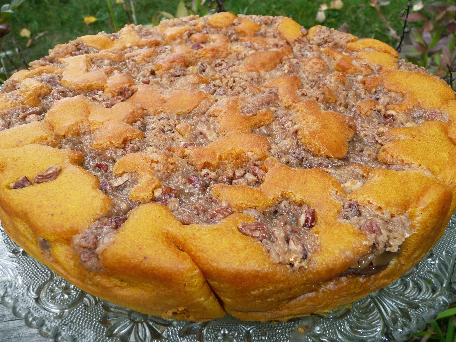 Everyday Dutch Oven Pumpkin Crumble Cake