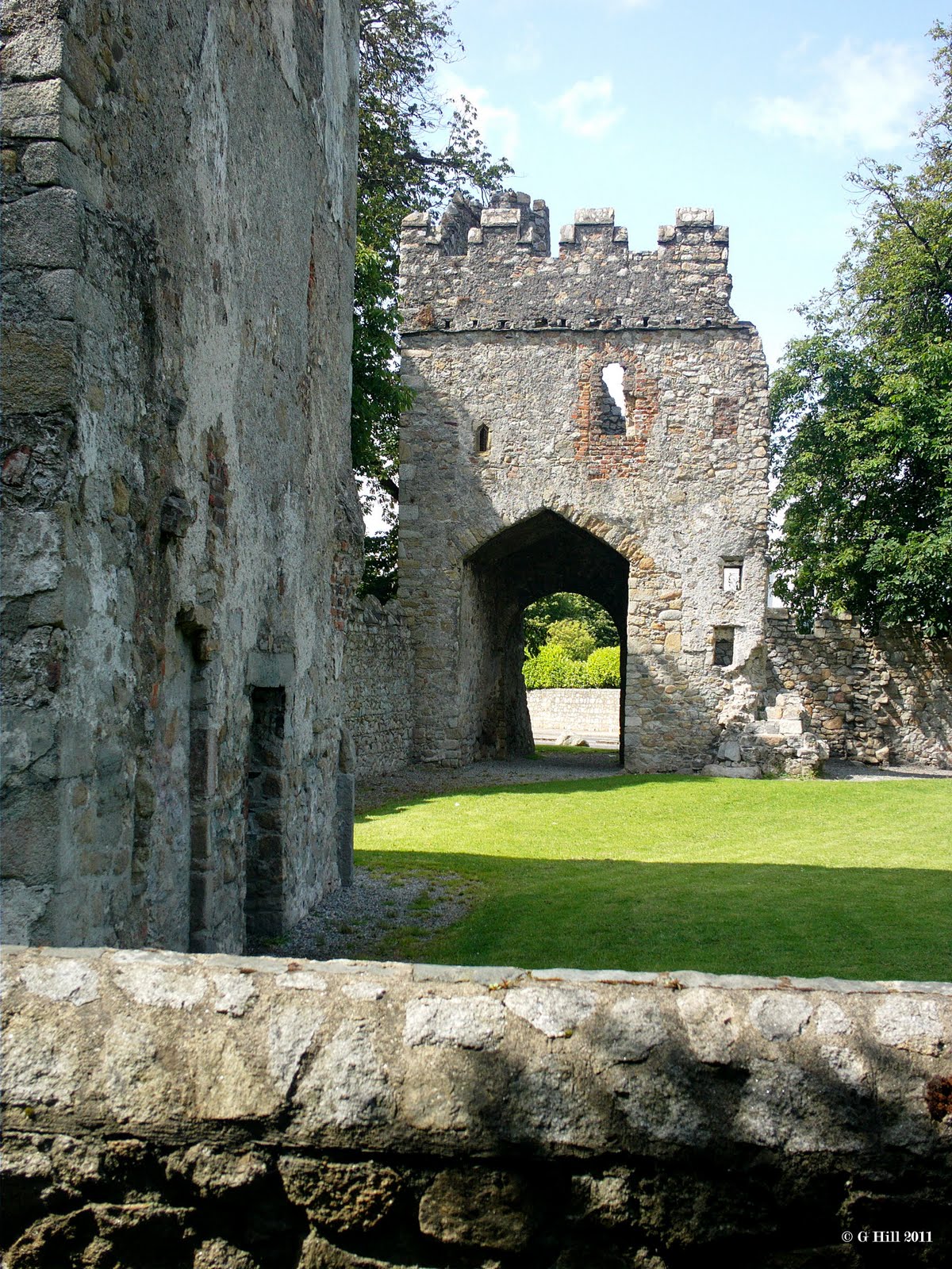 Ireland In Ruins Monkstown Castle Co Dublin