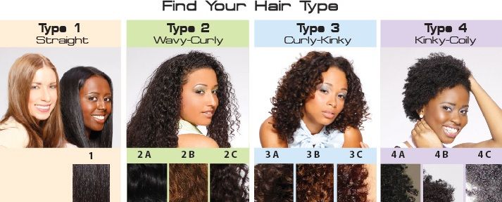 Hair Type Chart Female