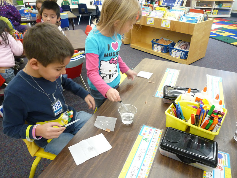 Team Spata What Happens When Paper Gets Wet?